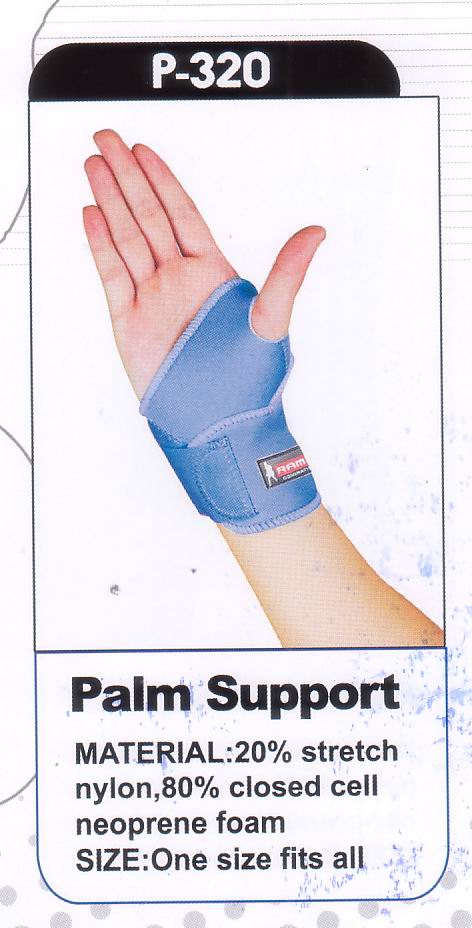 Palm support