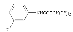 chlorpropham