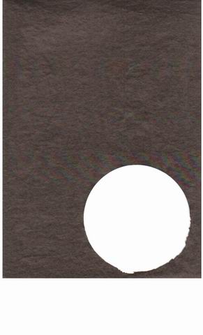 PEARL NYLON TEFFETA WASHED BN28