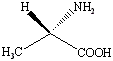 L-Alanine