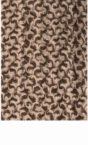 PV VELBOA BRUSH TT19