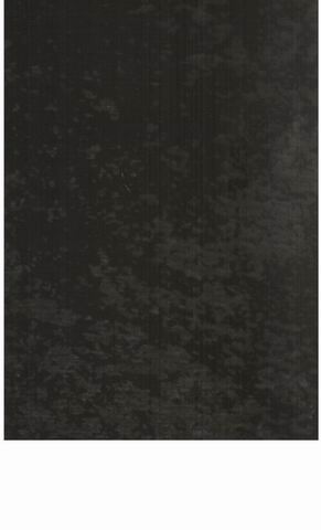 TR BURN-OUT JERSEY WT08