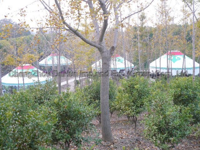 Yurt DH-YURT-07
