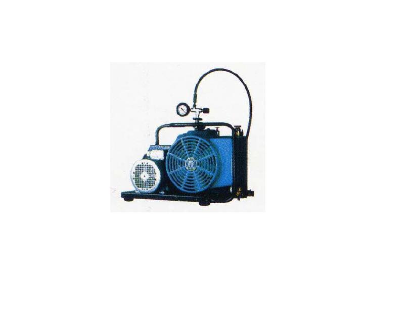 Air Charge Pump