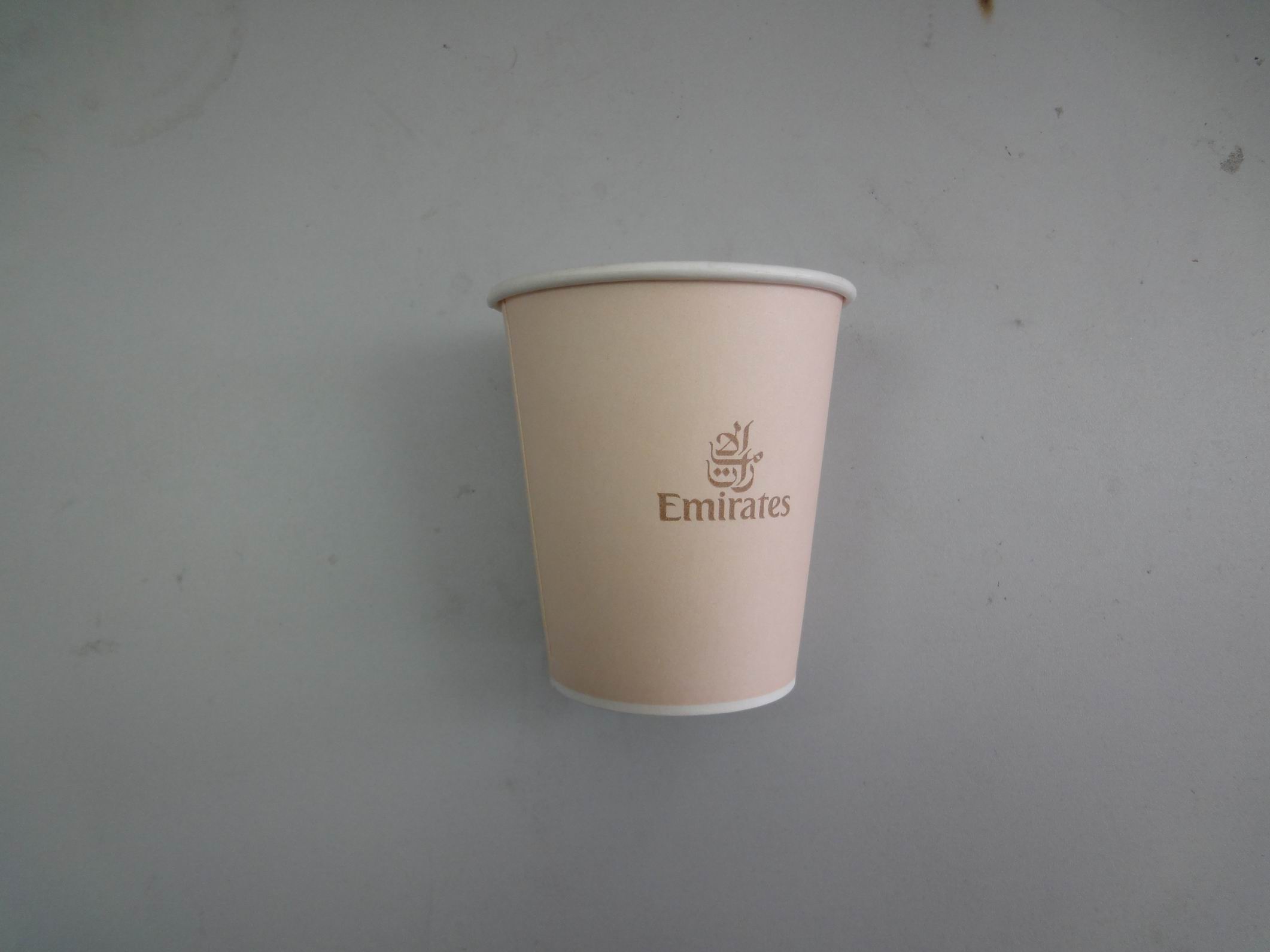 hot drink cup(8oz)