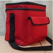 Cooler bag